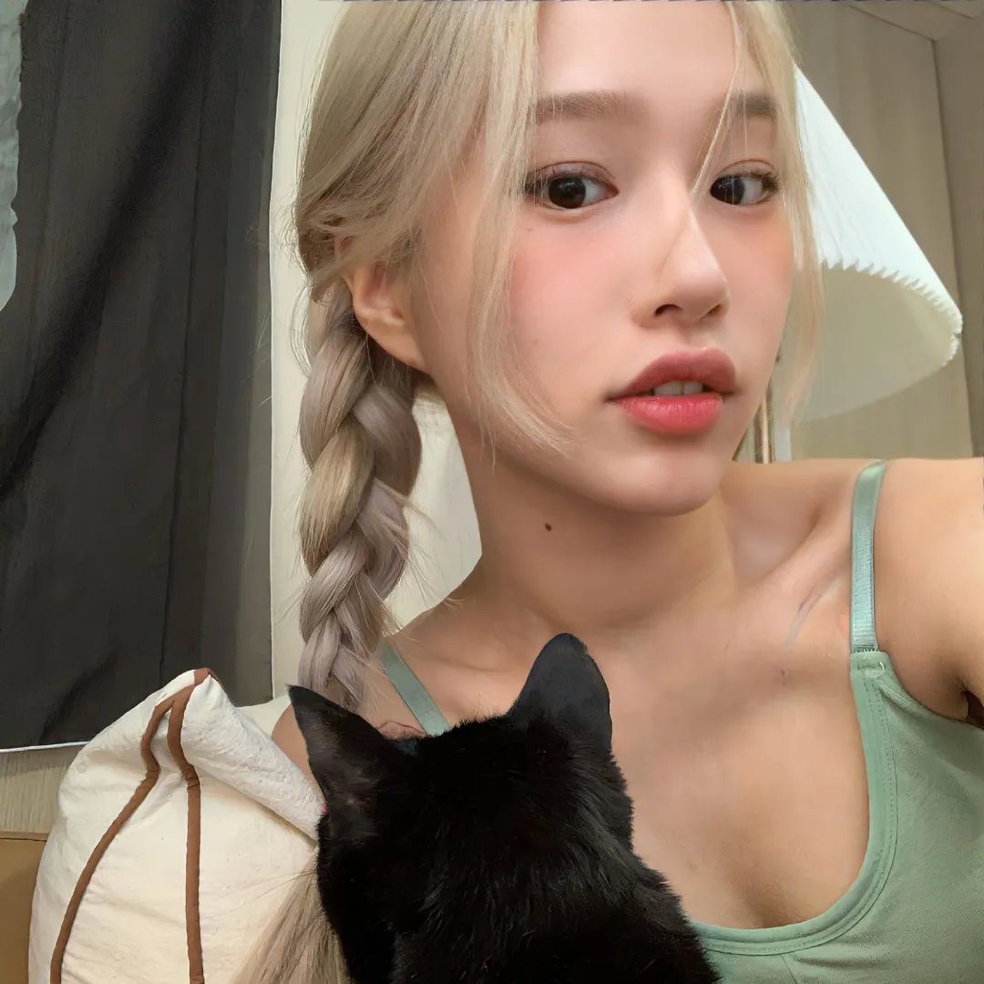 猎鹰追击
